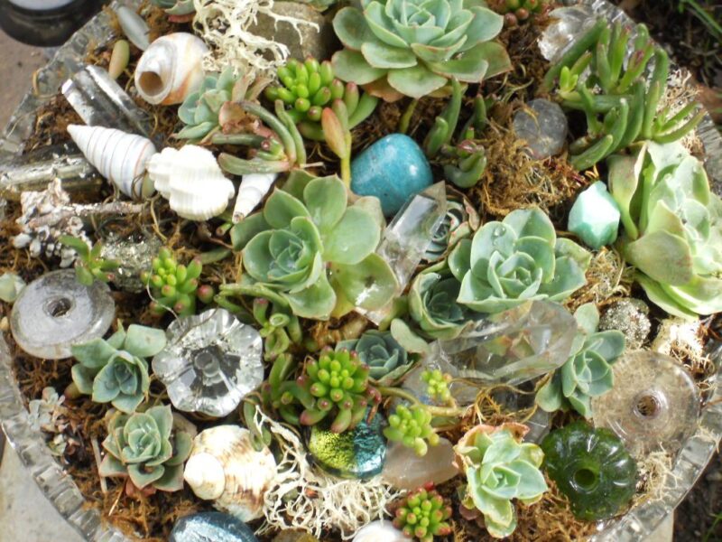 Mosaic design in planter Mosaic design in planter
