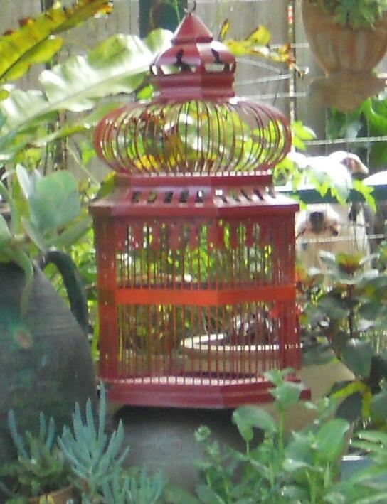 Painted birdcage Painted birdcage