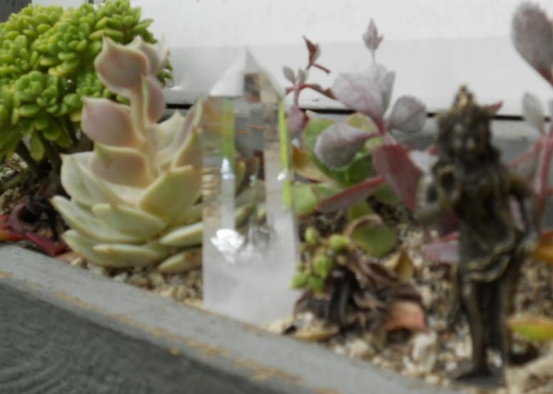 flowerbox flowerbox