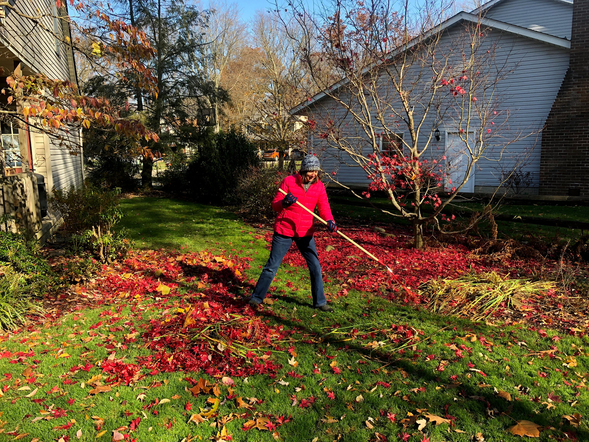Dealing With Winter Stress on Your Lawn