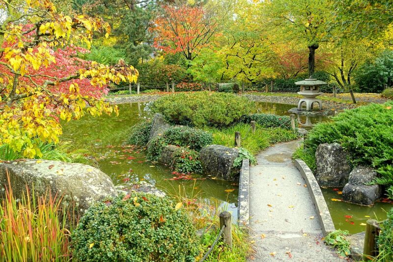 You don't need Asian plants to create an Asian garden! You don't need Asian plants to create an Asian garden!