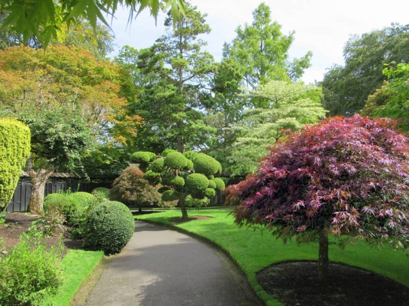 The traditional Japanese garden style emphasizes form and harmony over flashy color The traditional Japanese garden style emphasizes form and harmony over flashy color