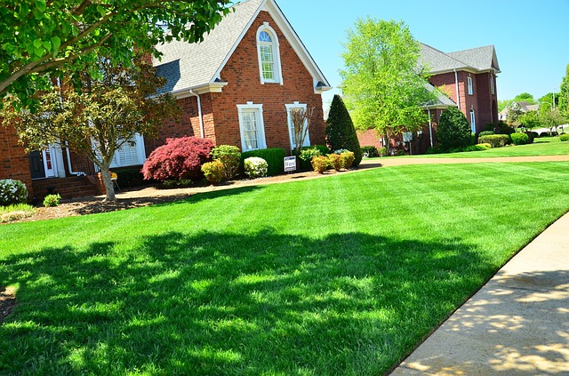 A clean front yard speaks volumes about your personality image - A clean front yard speaks volumes about your personality