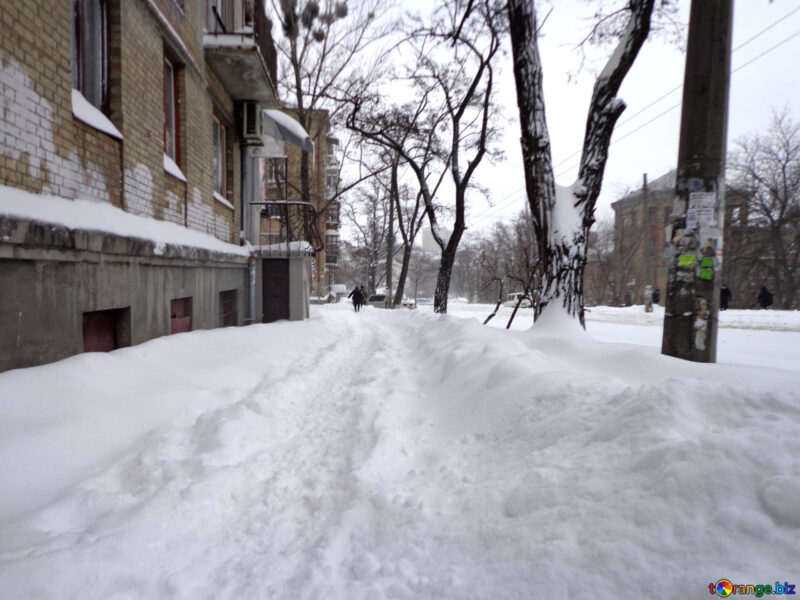 Now if I could only find my sidewalk! image - Now if I could only find my sidewalk!
