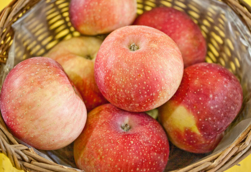 Apples have come to symbolize the harvest season in the North image - Apples have come to symbolize the harvest season in the North