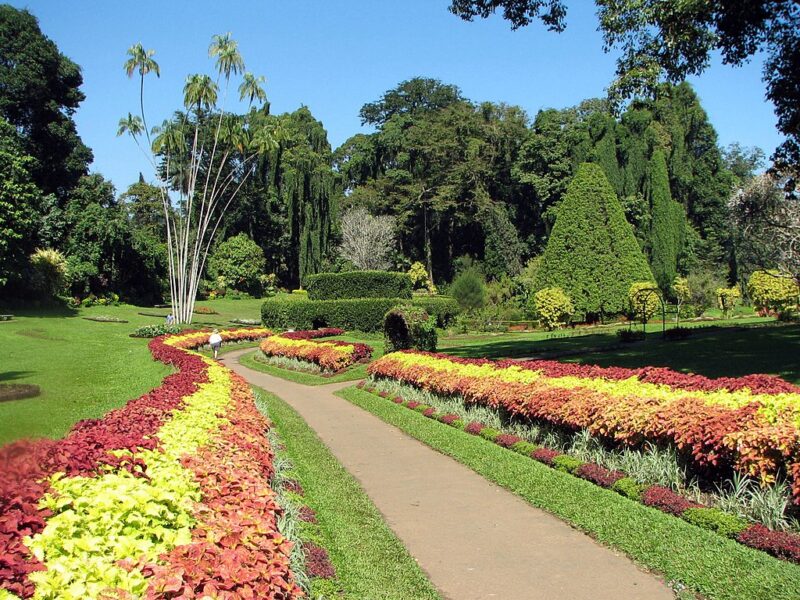 Northscapers create beautiful gardens image - Northscapers create beautiful gardens