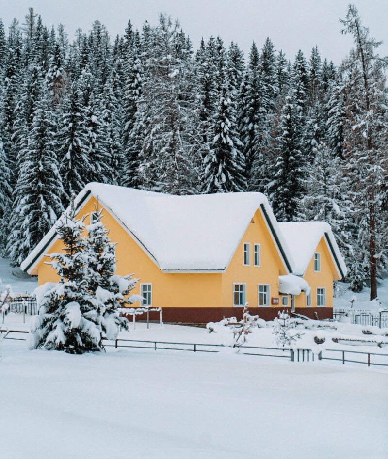 Tinted finishes bring a splash of color to the snowy landscape image - Tinted finishes bring a splash of color to the snowy landscape