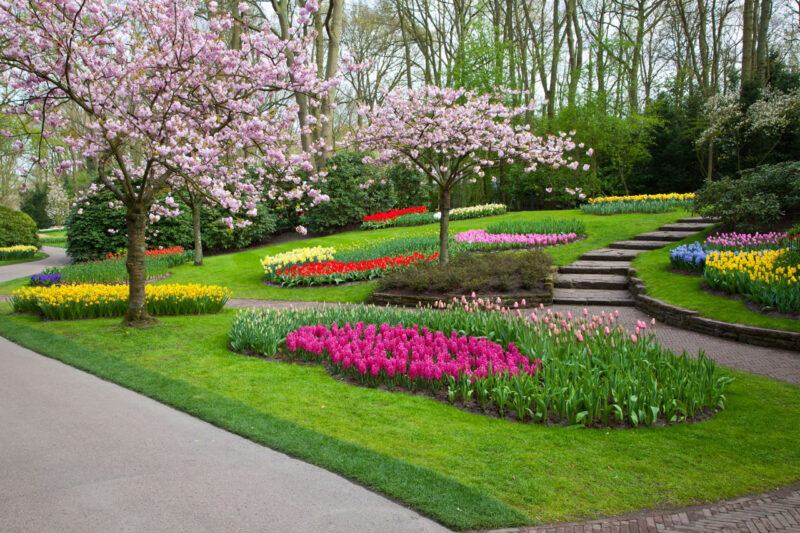 Tiers are distinct rows of plants of a specific height image - Tiers are distinct rows of plants of a specific height