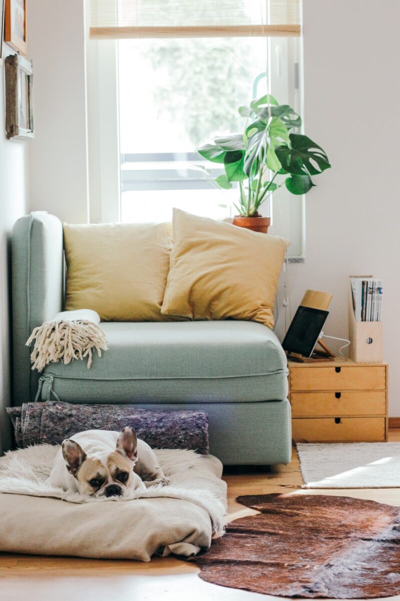 Unlock the Power of Your Home with a Home Equity Line of Credit (HELOC) Unlock the Power of Your Home with a Home Equity Line of Credit (HELOC)