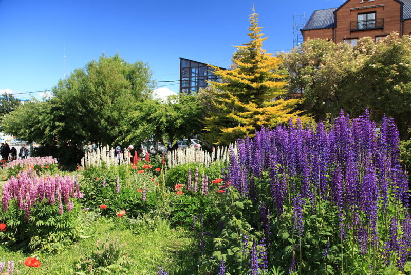 Large gardens should be scaled to use plants in correspondingly larger tiers image - Large gardens should be scaled to use plants in correspondingly larger tiers