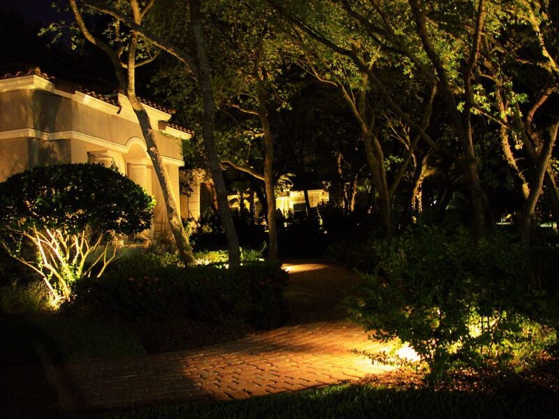 Moonlighting image - Moonlighting