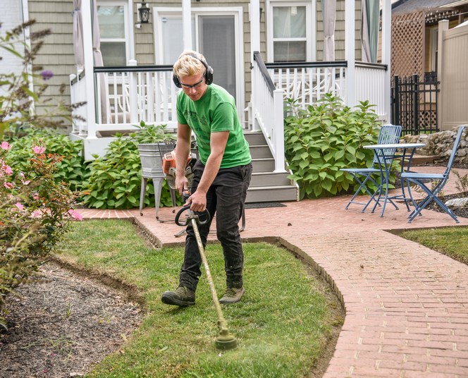 How to Determine if Your Lawn Needs Aerating