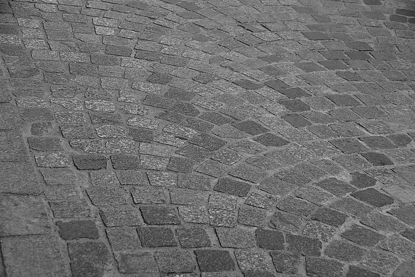 How to Transform Your Backyard with Pavers: A DIY Guide